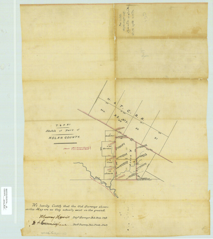 42170, Nolan County Sketch File A, General Map Collection