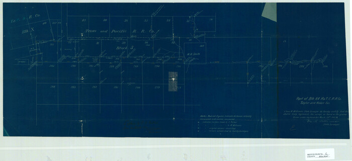 42172, Nolan County Sketch File C, General Map Collection