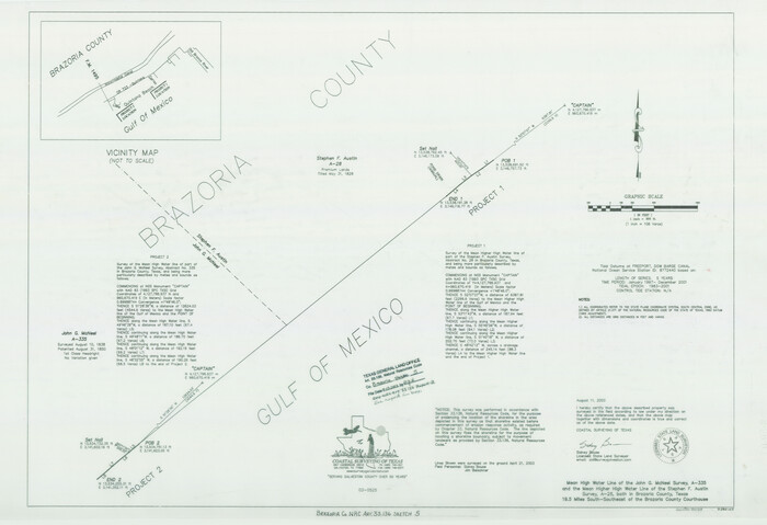 80124, Brazoria County NRC Article 33.136 Sketch 5, General Map Collection