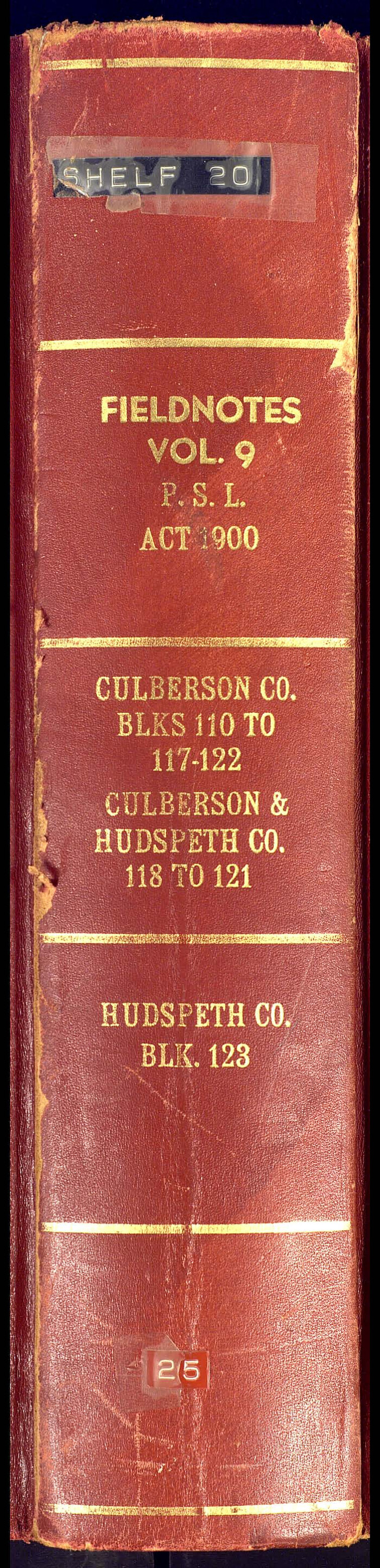 81666, PSL Field Notes for Blocks 110 through 122 in Culberson County and Block 123 in Hudspeth County, General Map Collection
