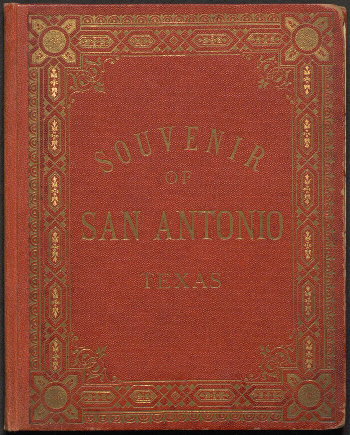 Souvenir of San Antonio, Texas