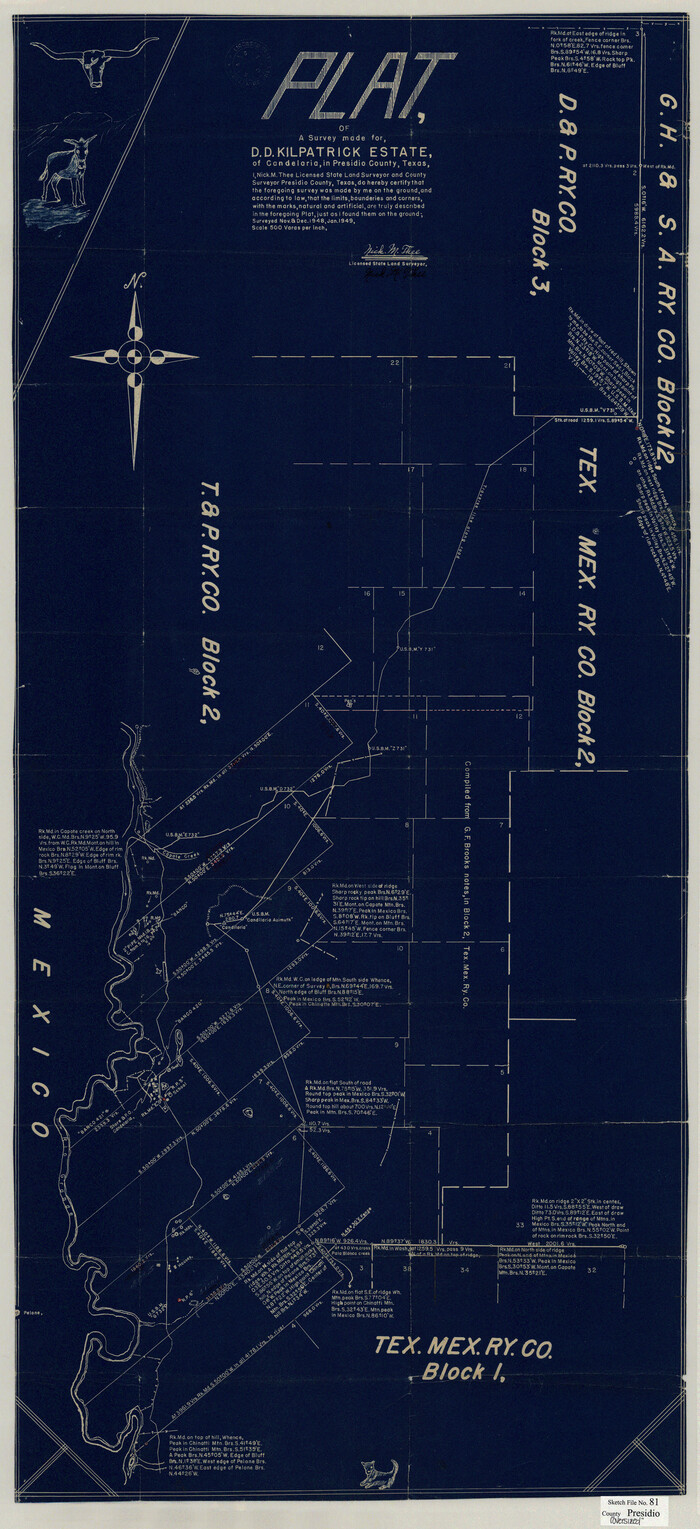10579, Presidio County Sketch File 81, General Map Collection