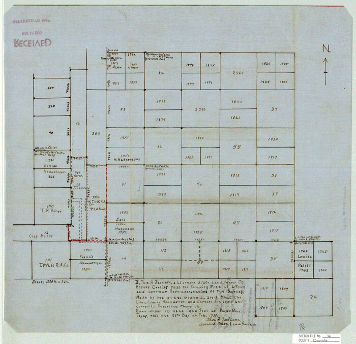 11161, Concho County Sketch File 36, General Map Collection