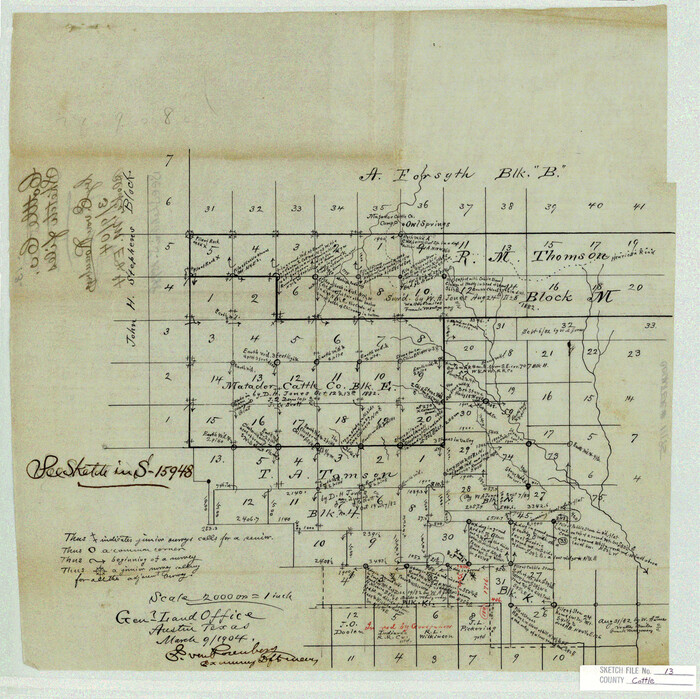 11195, Cottle County Sketch File 13, General Map Collection