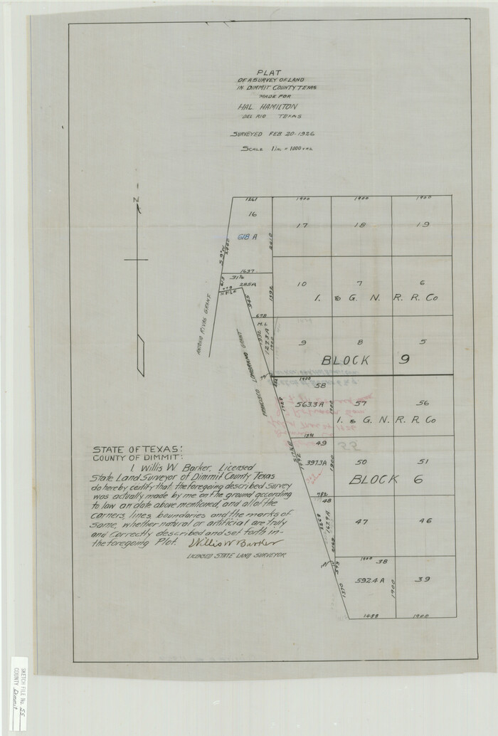 11359, Dimmit County Sketch File 55, General Map Collection