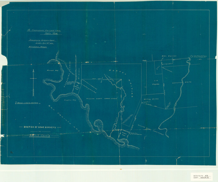 11653, Harris County Sketch File 52, General Map Collection