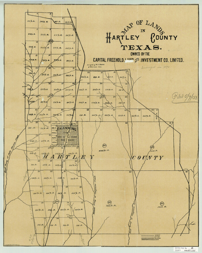 11699, Hartley County Sketch File 8, General Map Collection