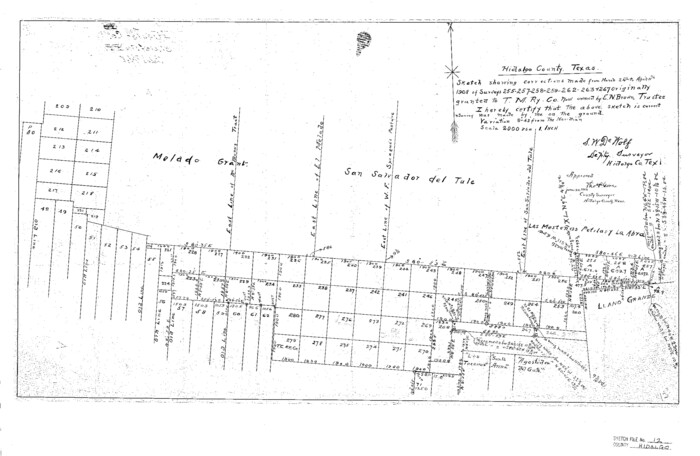 11763, Hidalgo County Sketch File 12, General Map Collection