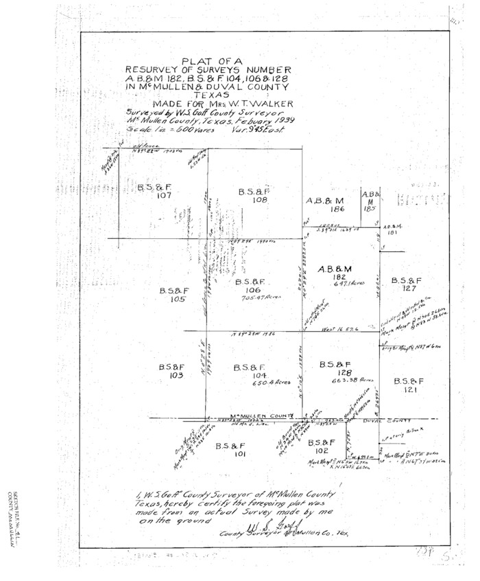 12065, McMullen County Sketch File 41, General Map Collection