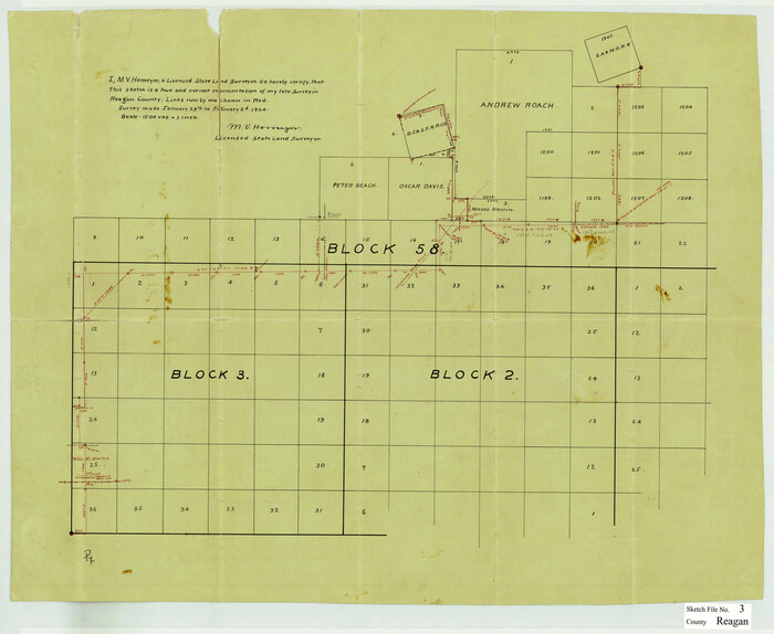 12213, Reagan County Sketch File 3, General Map Collection
