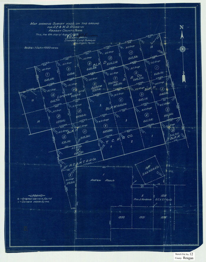 12218, Reagan County Sketch File 12, General Map Collection
