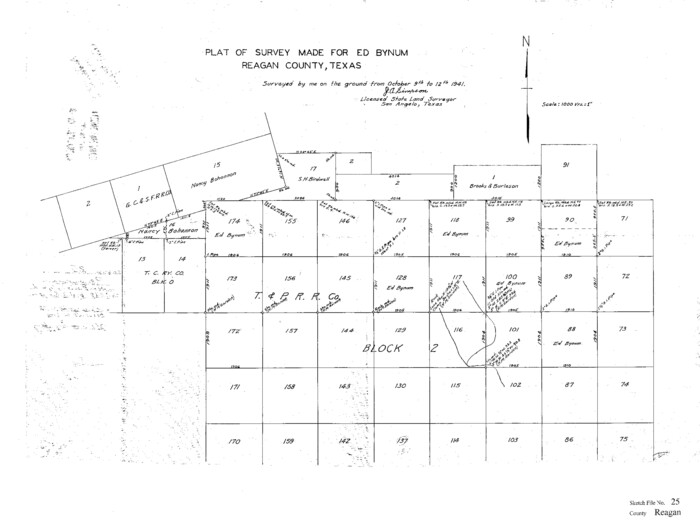 12222, Reagan County Sketch File 25, General Map Collection