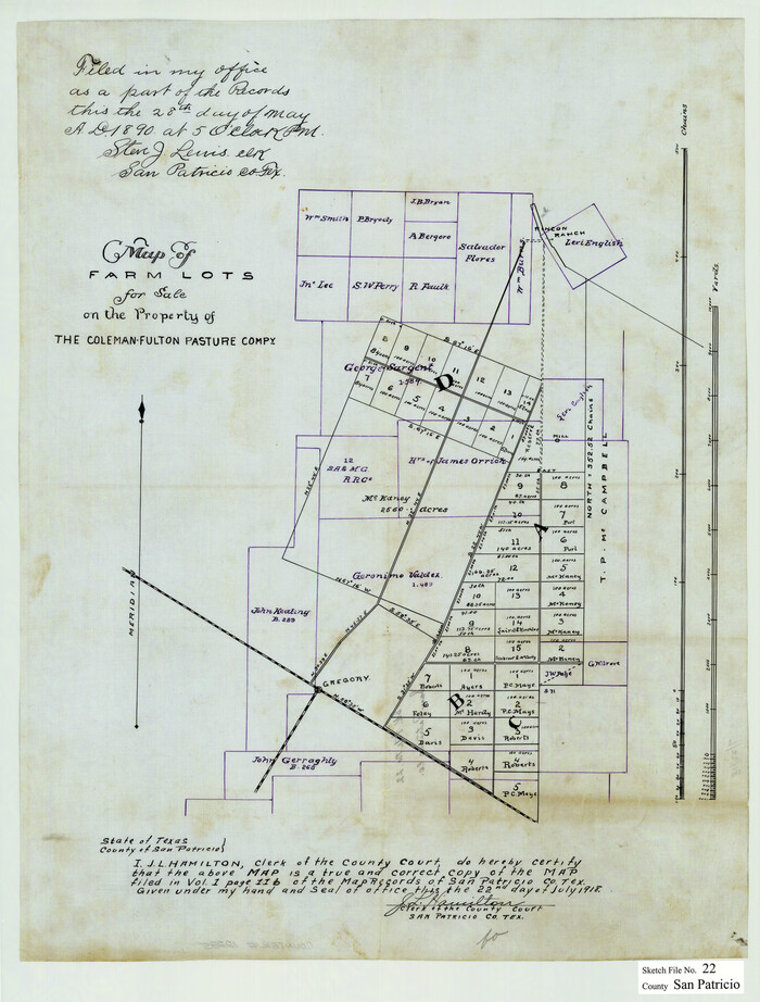 12285, San Patricio County Sketch File 22, General Map Collection