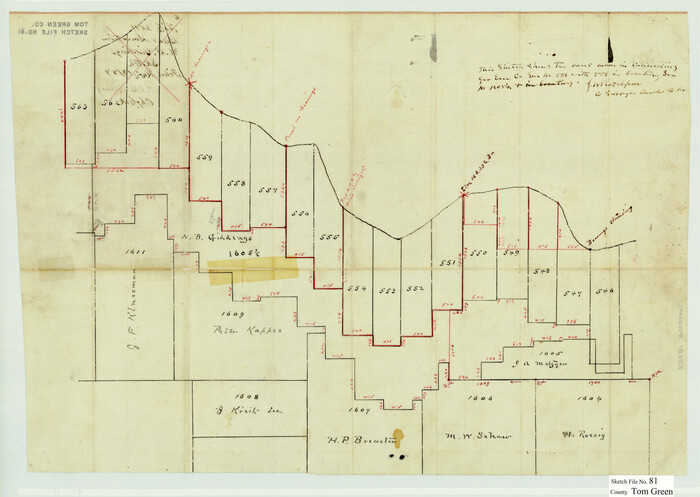 12453, Tom Green County Sketch File 81, General Map Collection