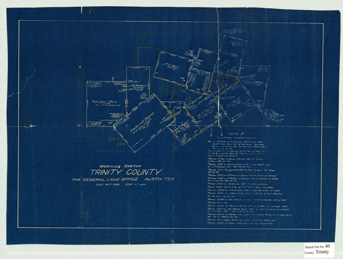 12494, Trinity County Sketch File 40, General Map Collection