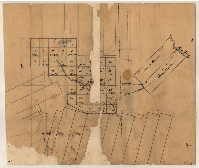 12725, Zavala County Sketch File 1, General Map Collection