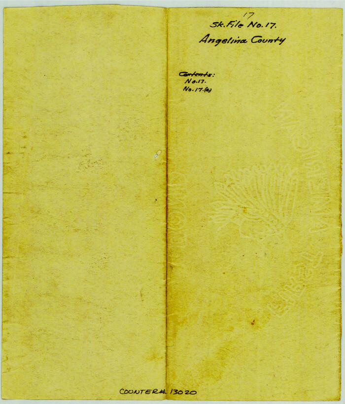 13020, Angelina County Sketch File 17, General Map Collection