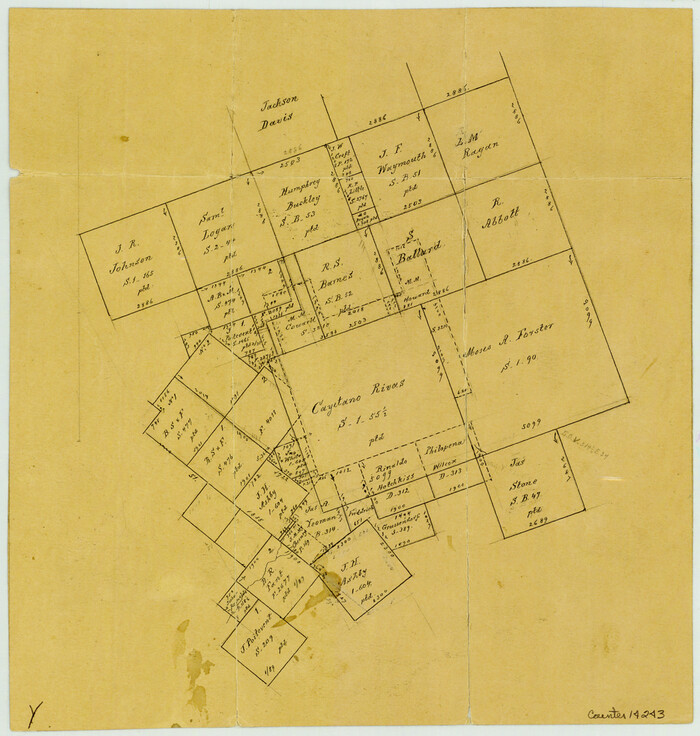 14243, Bee County Sketch File X, General Map Collection