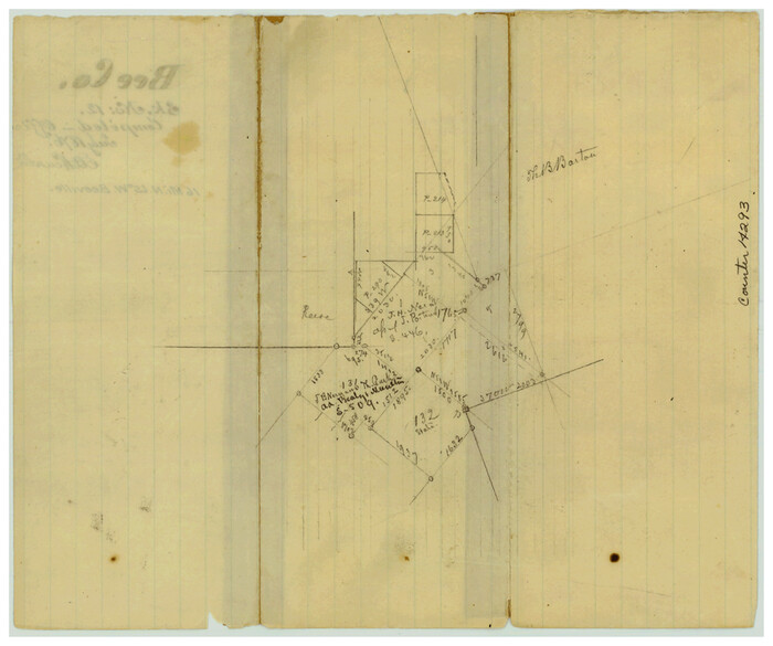 14293, Bee County Sketch File 12, General Map Collection